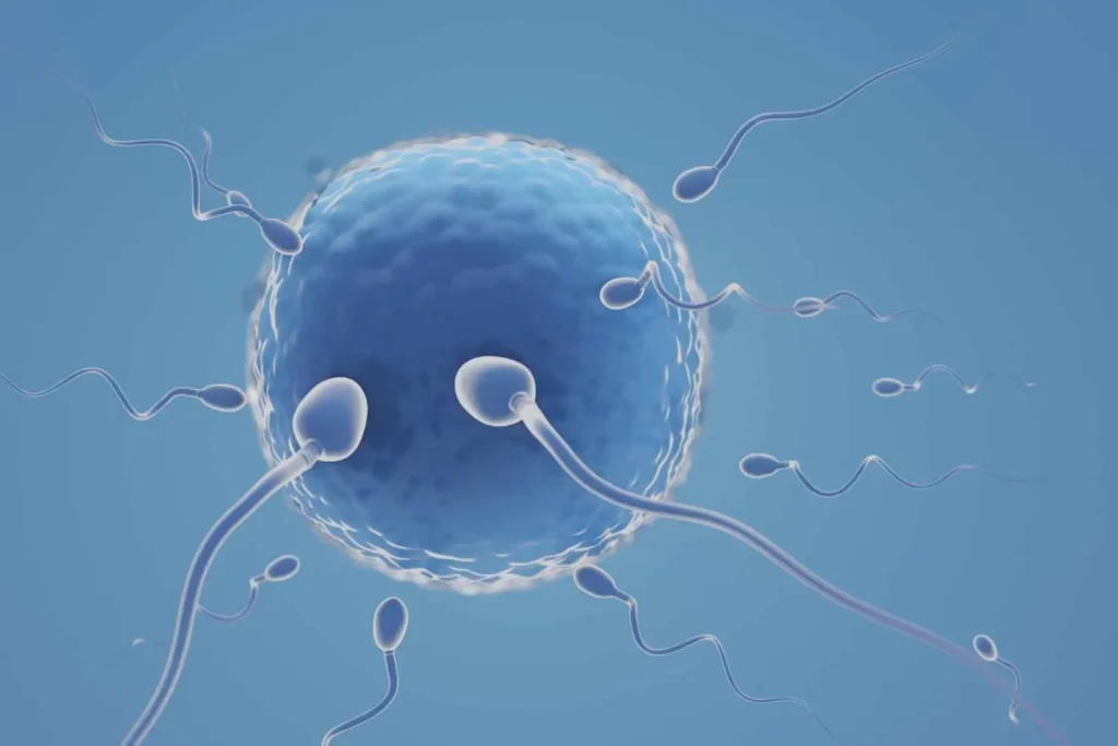 After Ivf Implantation