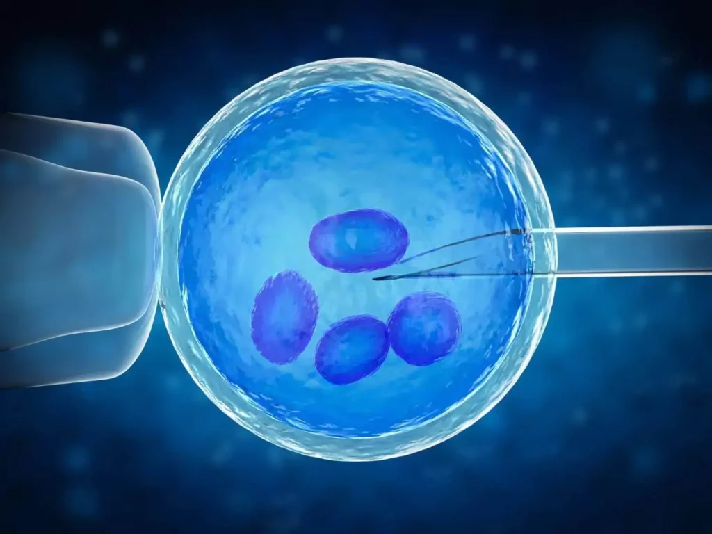 Ivf Hcg Levels
