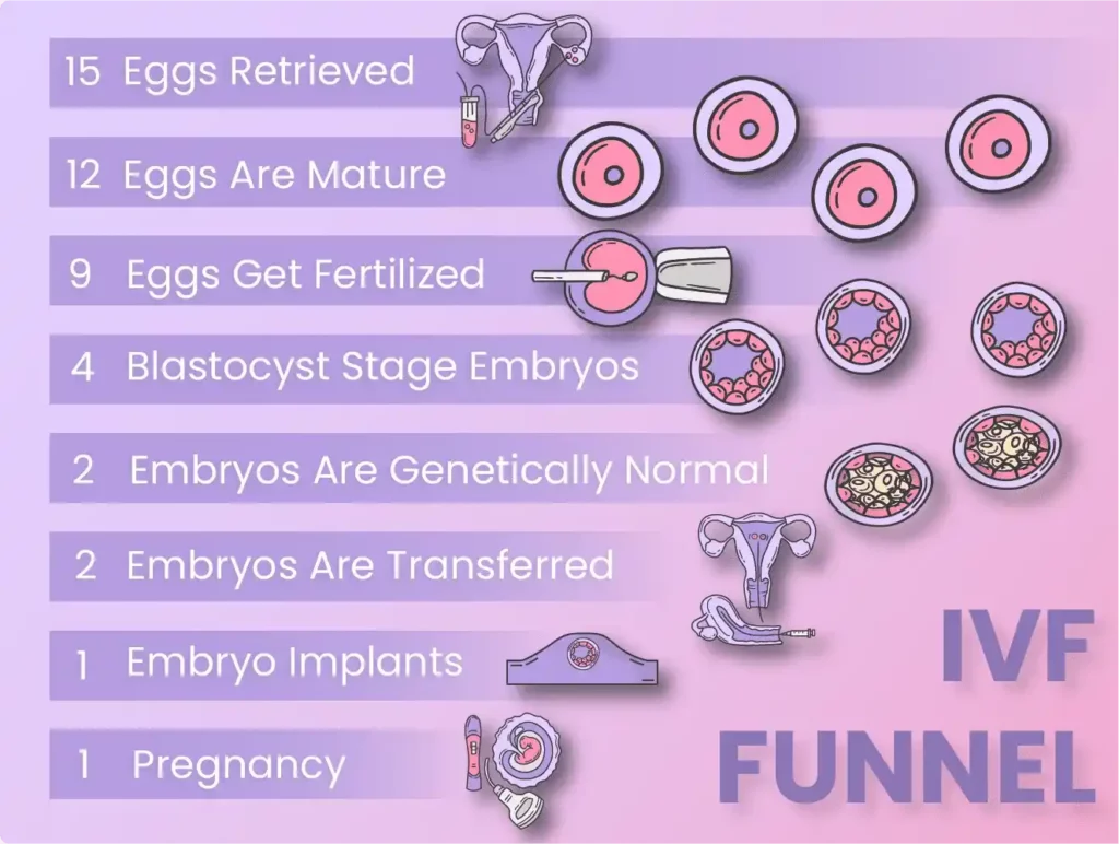 Ivf Success Rate