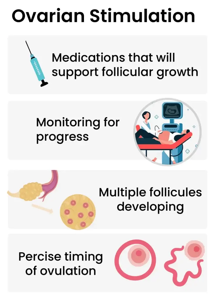 Ivf Ovarion Stimulation
