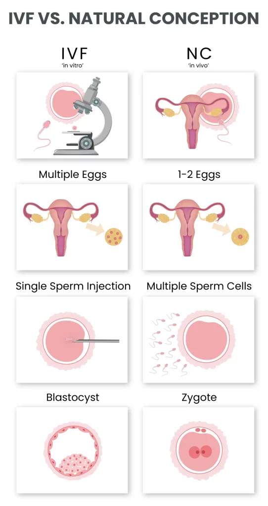 An Infographic That Shows Differences Of Ivf And Natural Conception