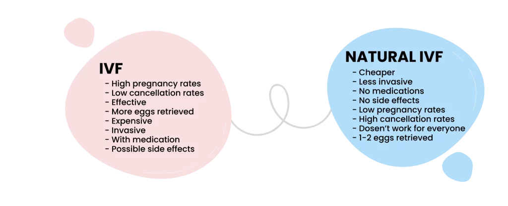 An Infographic