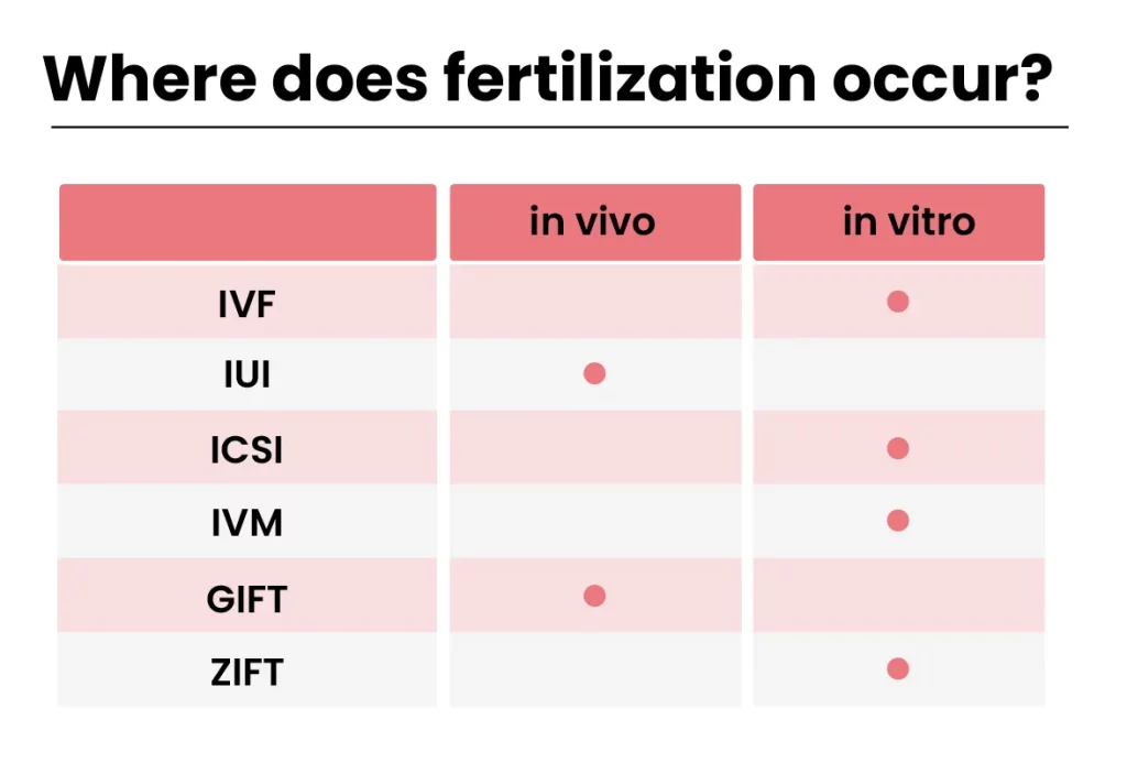 A Table That Shows Where Does Ivf Types Take Place