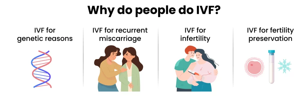 An Infographic About Why Do People Do Ivf